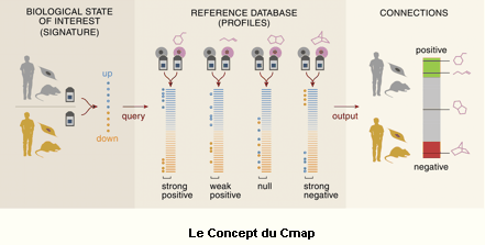 La base de données Connectivity Map, est un espoir pour les malades et une révolution pour le milieu pharmacologique