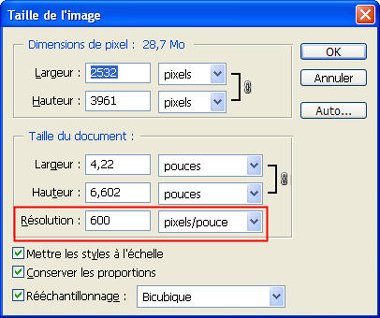 Figure 4-2 : Taille de l'image d'une num