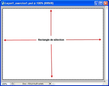 Figure 1-8 : Rectangle de s