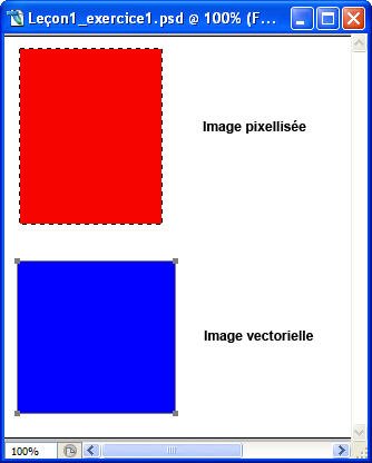 Figure 1-12 : Images pixellis